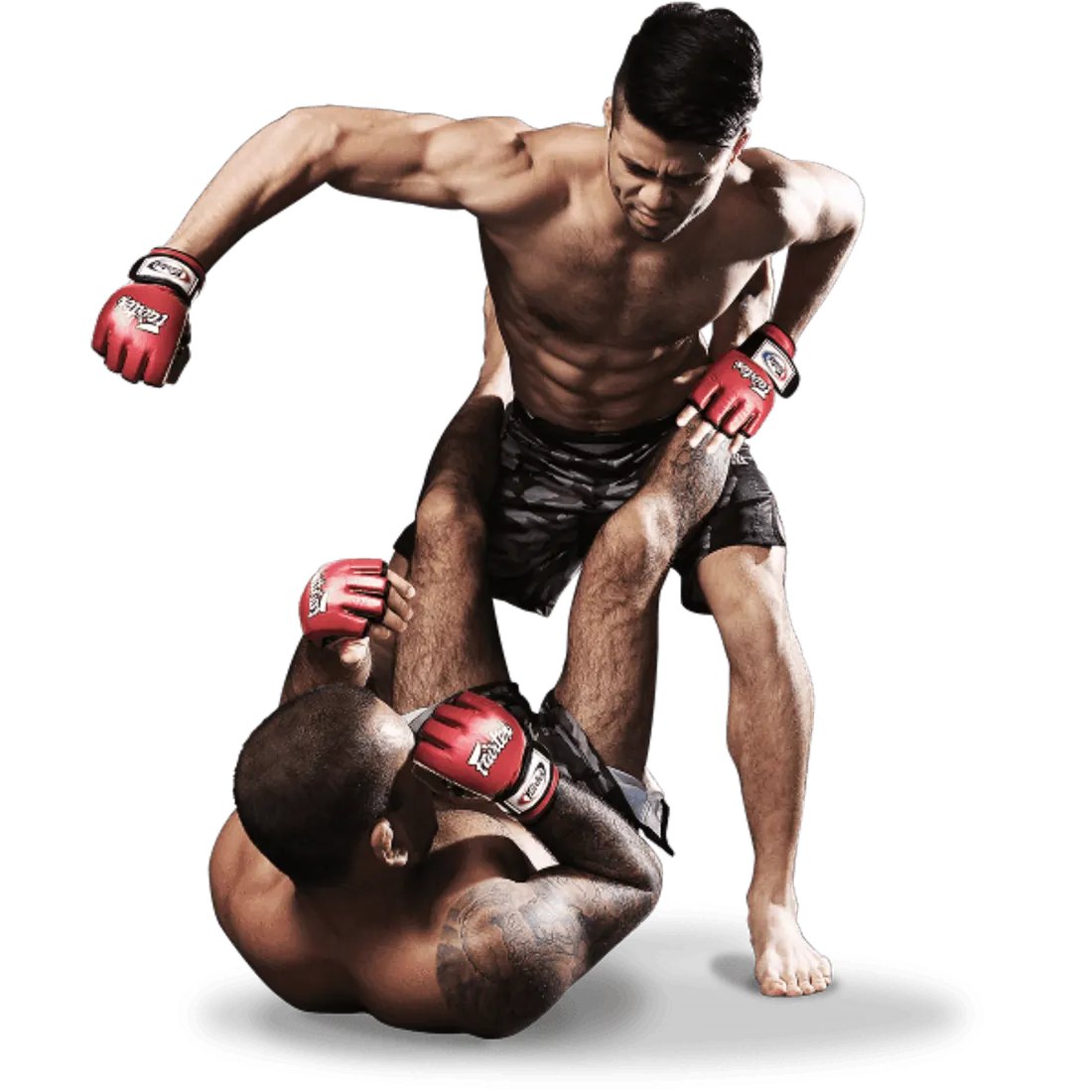 MMA (Mixed Martial Arts) training at Vonlee Martial Arts Academy
